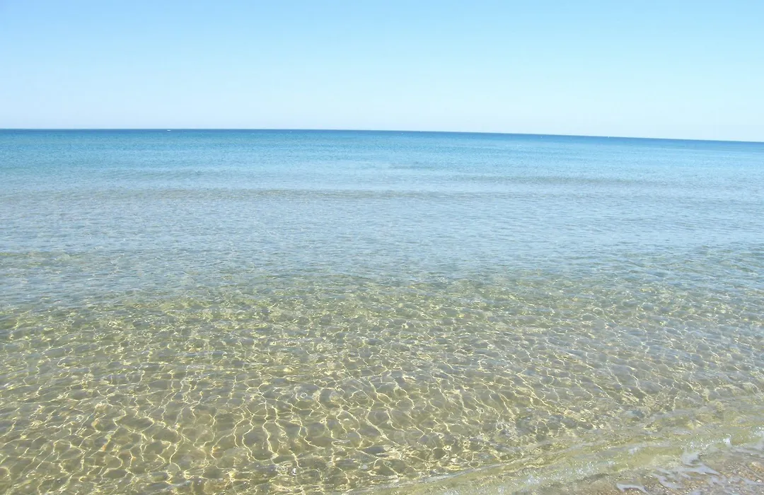 B&B Albachiara-1